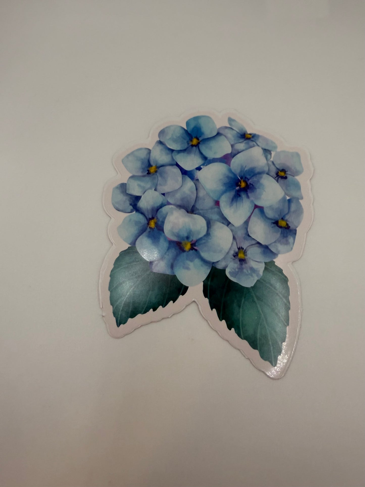 hydrangea sticker
